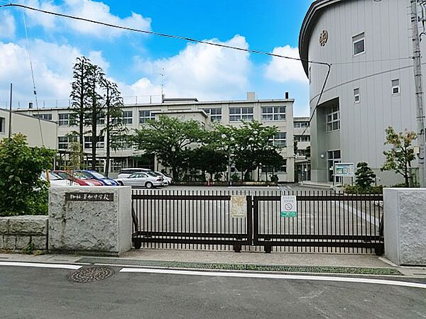 中学校 900m 草加市立草加中学校
