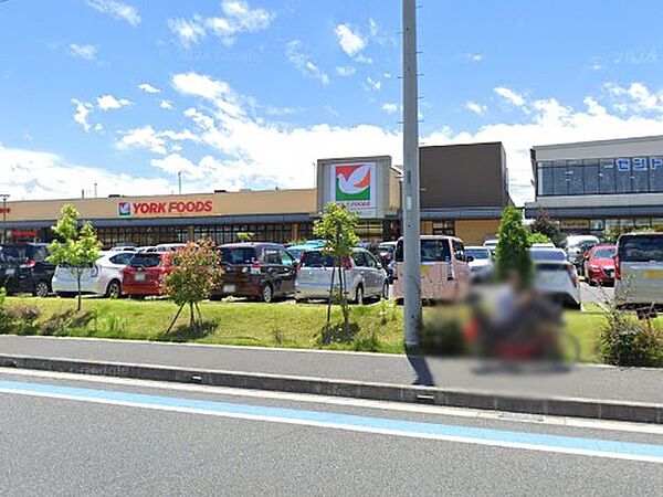 スーパー 300m ヨークフーズ ハレノテラス東大宮店