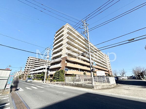 溢れる陽光でご家族の笑顔も輝く