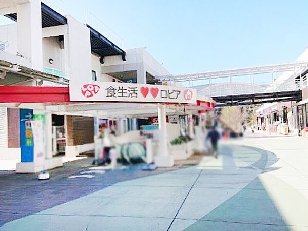 ショッピングセンター 300m ロピア ふじみ野店