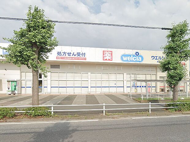 ドラッグストア 700m ウエルシア東越谷三丁目店