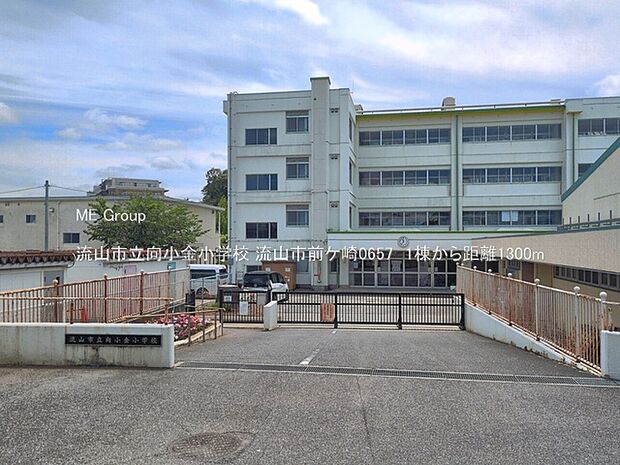 小学校 1300m 流山市立向小金小学校
