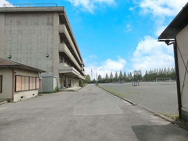 中学校 950m 白岡市立南中学校