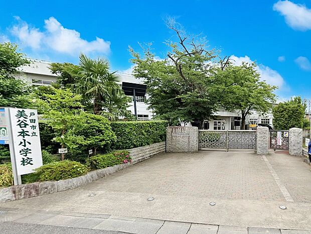 小学校 650m 戸田市立美谷本小学校