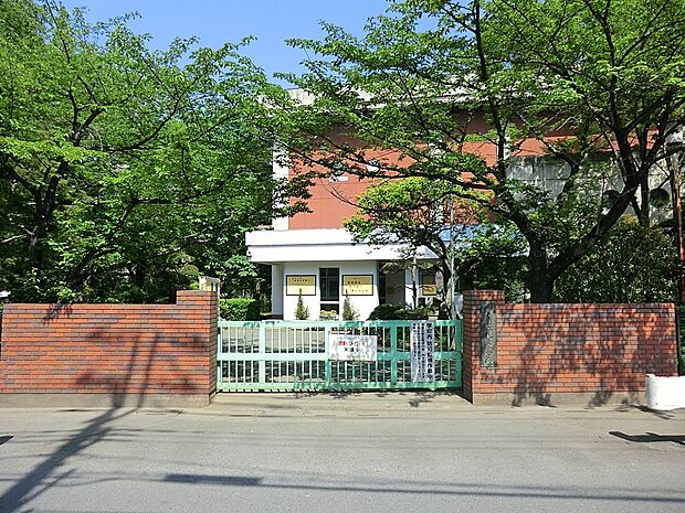 小学校 557m 上尾市立瓦葺小学校