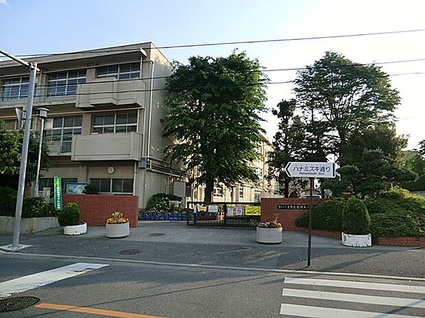 小学校 800m さいたま市立尾間木小学校