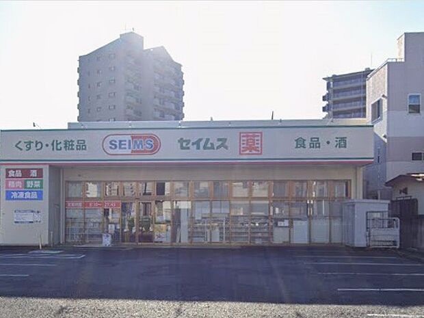 ドラッグストア 300m ドラッグセイムス 川口西店