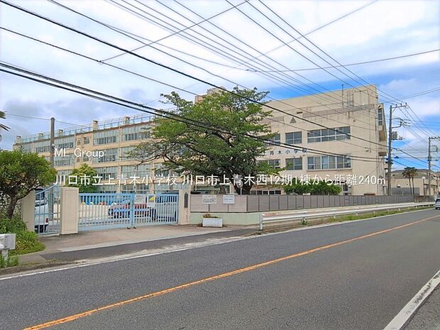 小学校 240m 川口市立上青木小学校