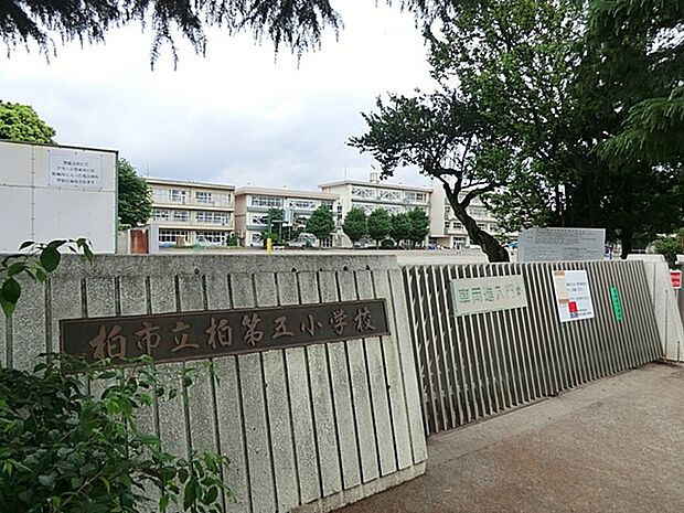 小学校 1500m 柏市立柏第五小学校