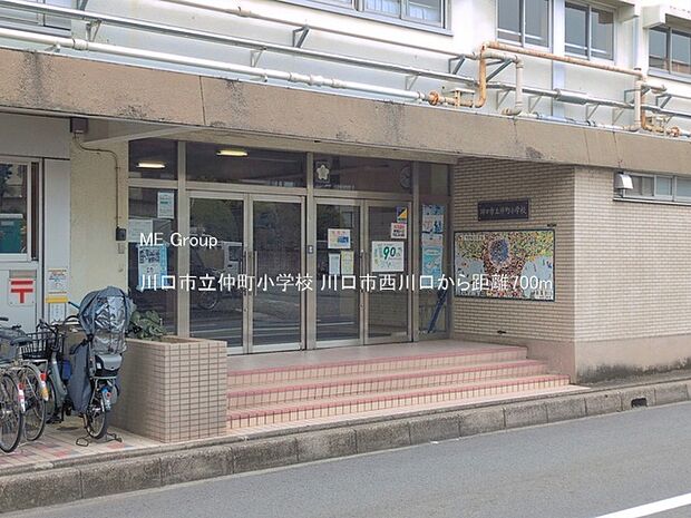 小学校 700m 川口市立仲町小学校