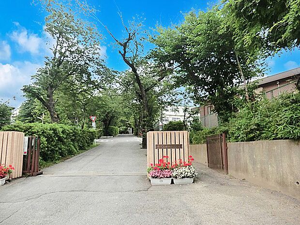 小学校 1189m 柏市立柏第四小学校
