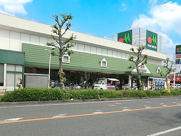スーパー 700m マルエツ元郷店
