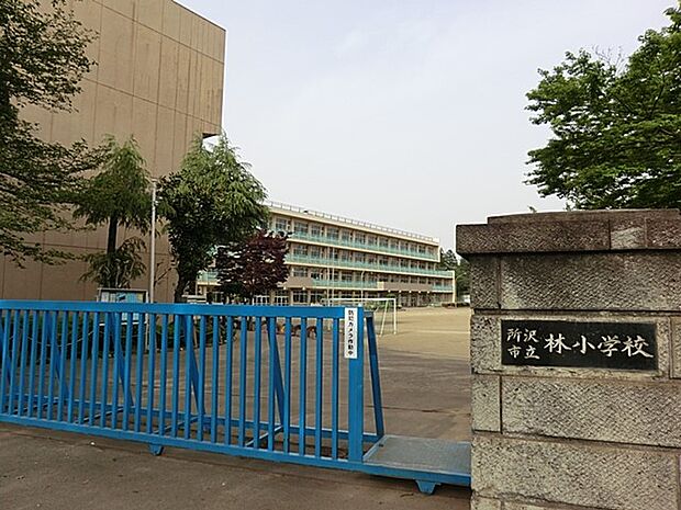 小学校 1120m 所沢市立林小学校