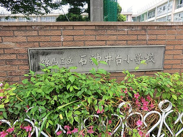 小学校 505m 練馬区立石神井台小学校