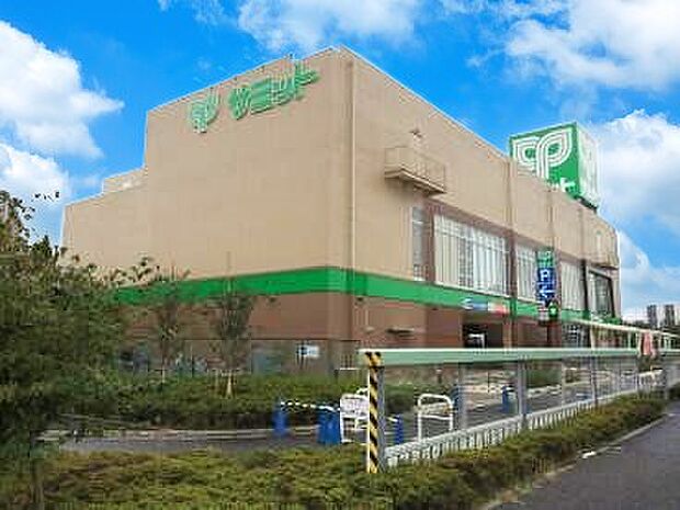 スーパー 1100m サミットストア環八南田中店