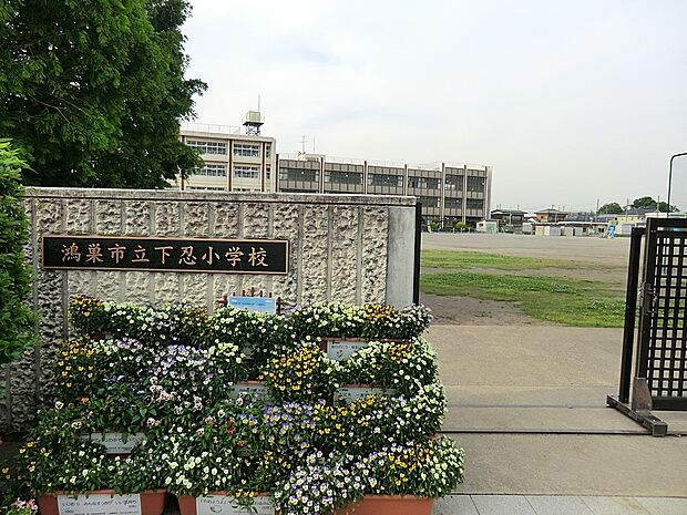小学校 2400m 鴻巣市立下忍小学校