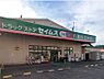 周辺：ドラッグストア 1100m ドラッグセイムス 八潮松之木店