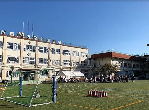 小学校 300m 足立区立寺地小学校