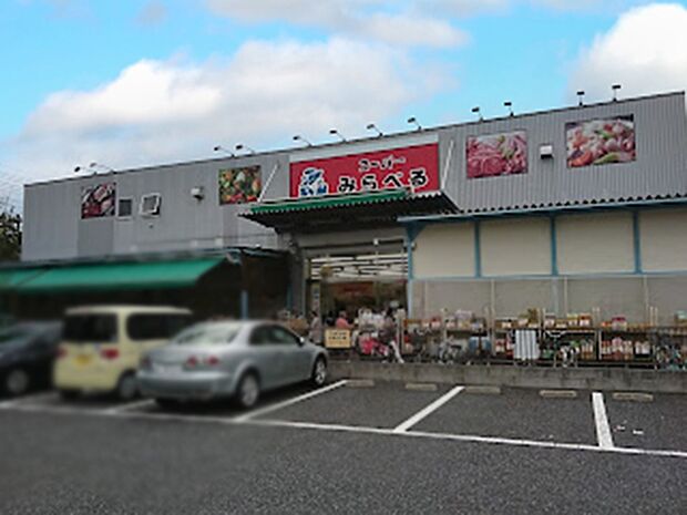 スーパー 700m スーパーみらべる 練馬春日町店