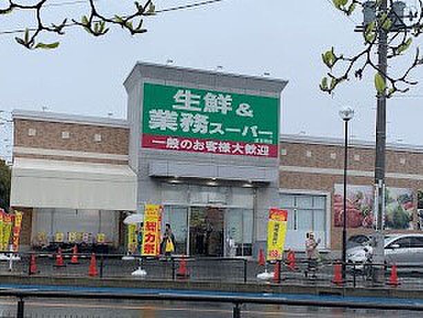 スーパー 500m 業務スーパー 越谷南店