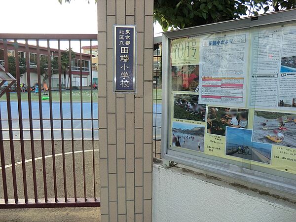 小学校 500m 北区立田端小学校