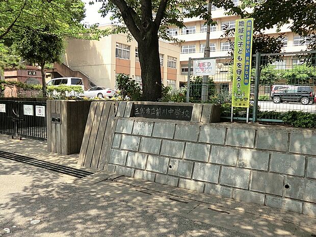 中学校 1800m 三郷市立前川中学校
