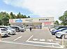 周辺：その他環境写真 500m ウエルシア柏光ケ丘麗澤大学前店