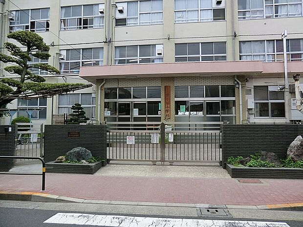小学校 240m 足立区立古千谷小学校