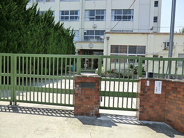 中学校 560m 足立区立花畑北中学校