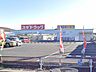 周辺：ドラッグストア 800m スギドラッグ吹上富士見店