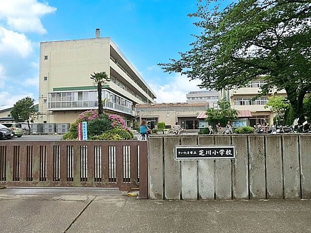 小学校 1173m さいたま市立芝川小学校