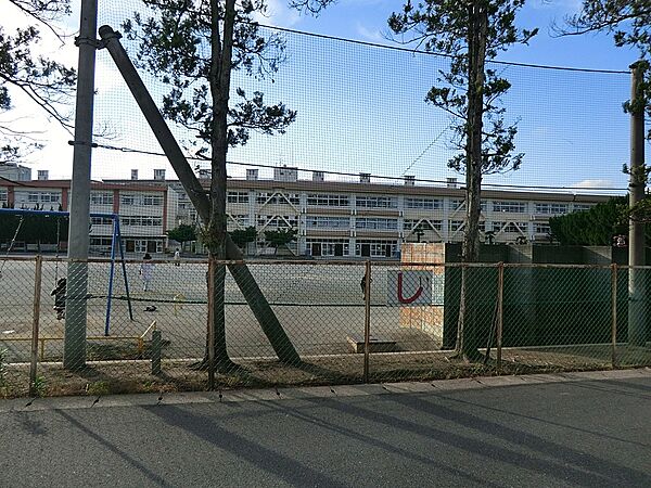 小学校 850m 柏市立柏第七小学校