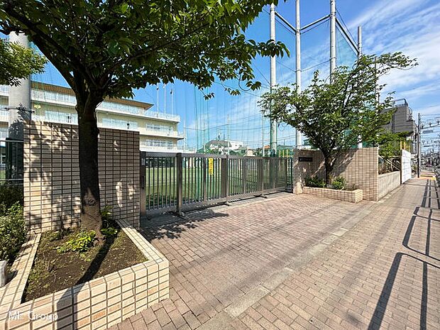 小学校 310m 足立区立本木小学校