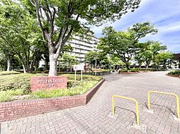 サンライトパストラル6番街