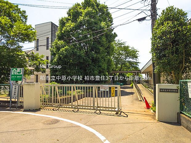 小学校 950m 柏市立中原小学校