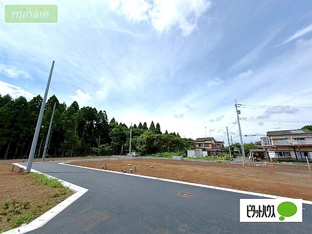 現地(2026.07.05撮影)