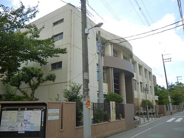 ドルフアクロス昭和町(3LDK) 6階のその他画像