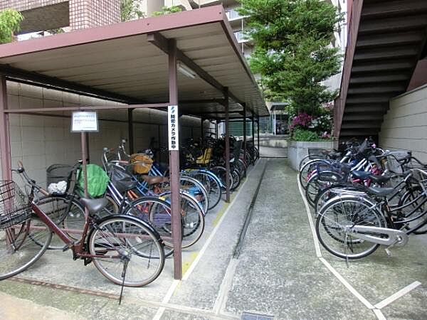 ～駐輪場～ 駐輪場です。綺麗に整列された駐輪場です。