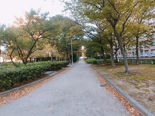 ～現地写真～ 敷地内には木々が多く四季が感じ取れます。