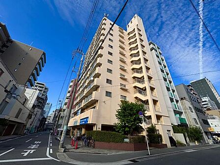 建物の個性を主張するシックな外観