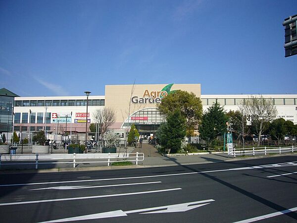周辺を拡大表示