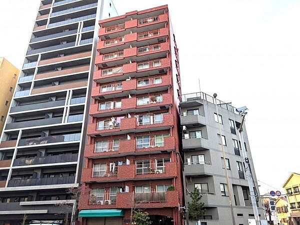 外観：313004868335