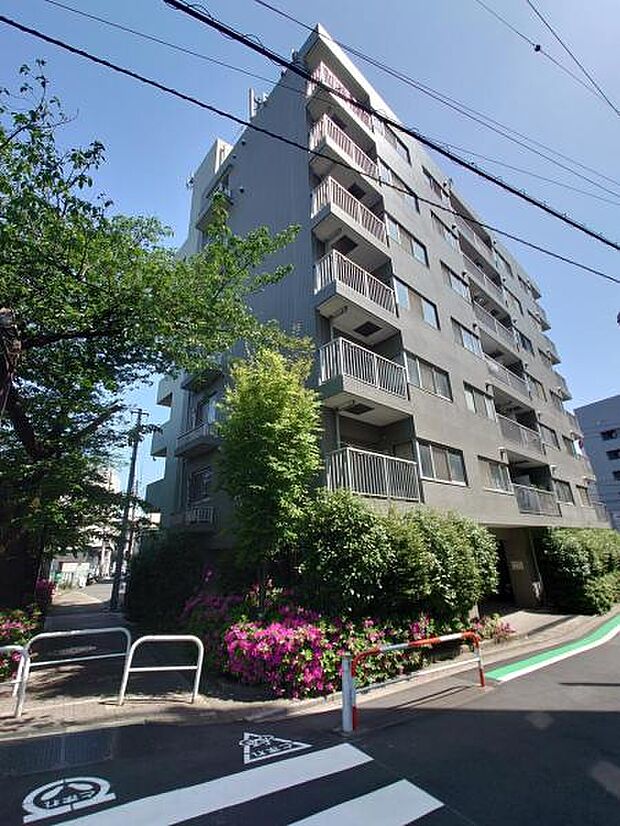 フォレステージ西早稲田(2DK) 6階のその他画像