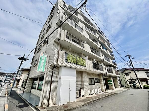 外観：313004846068