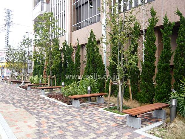 敷地西側のオープンスペースにはベンチや植栽が設けられています。