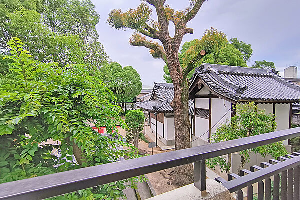 バルコニーからの眺め（南東方向）［2026年6月16日撮影］