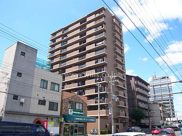 外観：328000666535