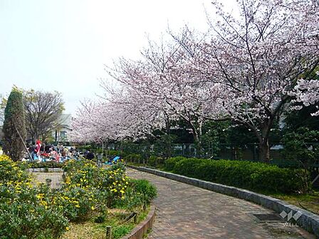 丸橋公園の外観
