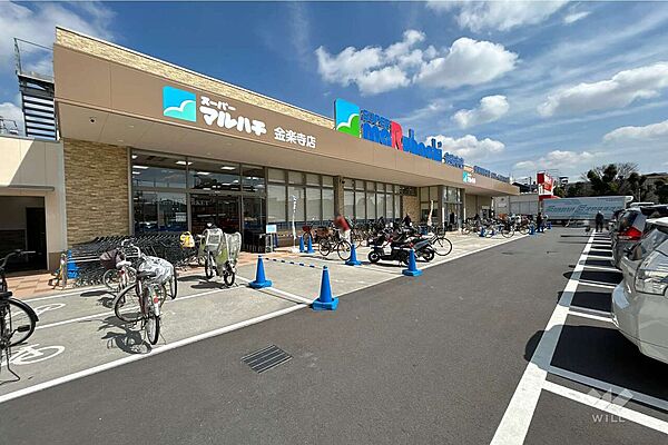 スーパーマルハチ(金楽寺店)の外観