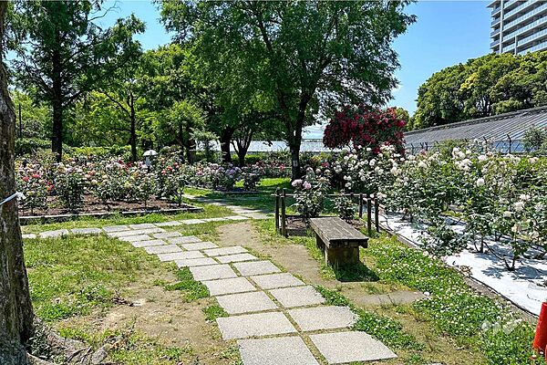 上坂部西公園の外観